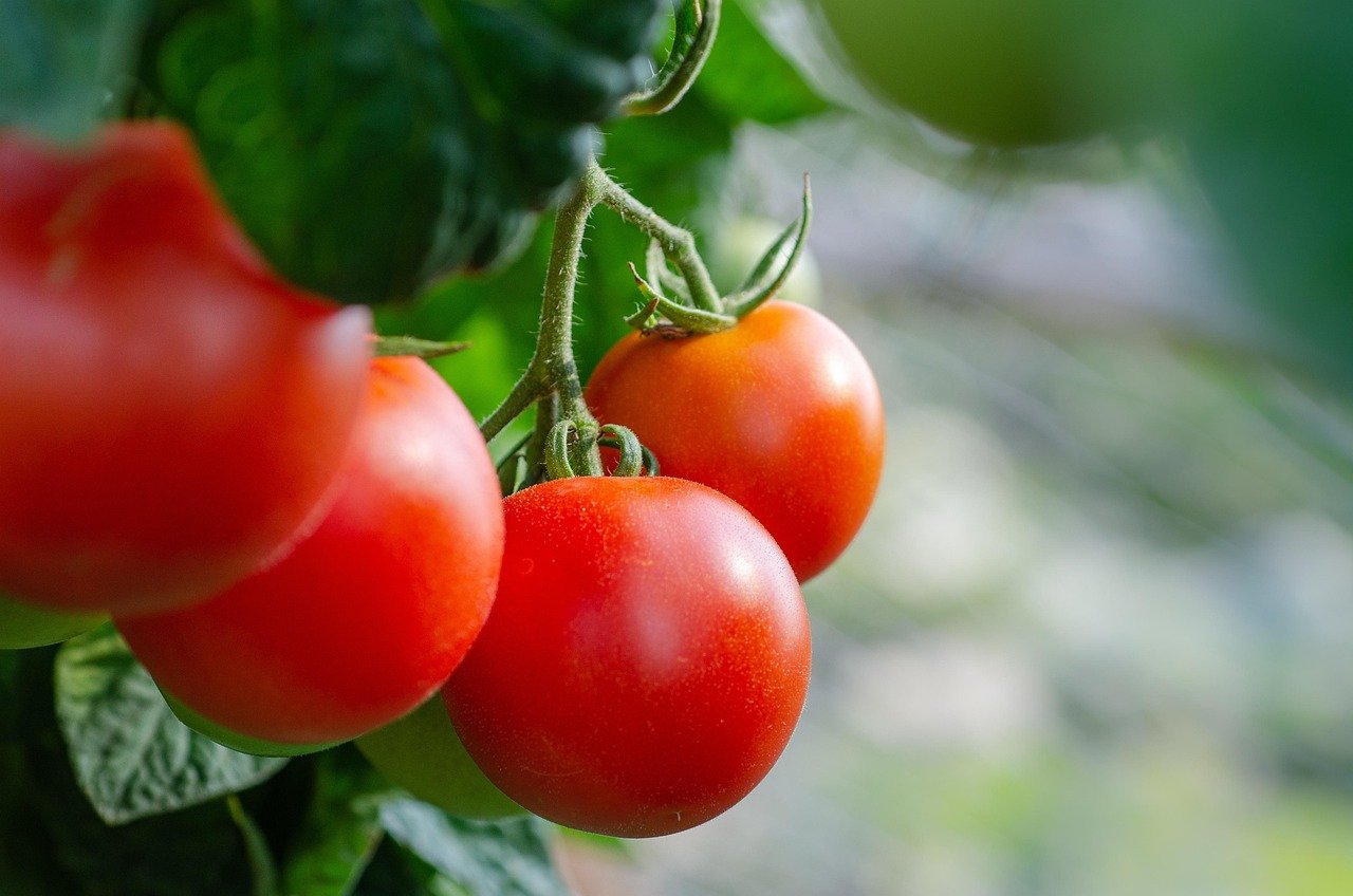 The top five-a-day foods your heart needs, according to new study