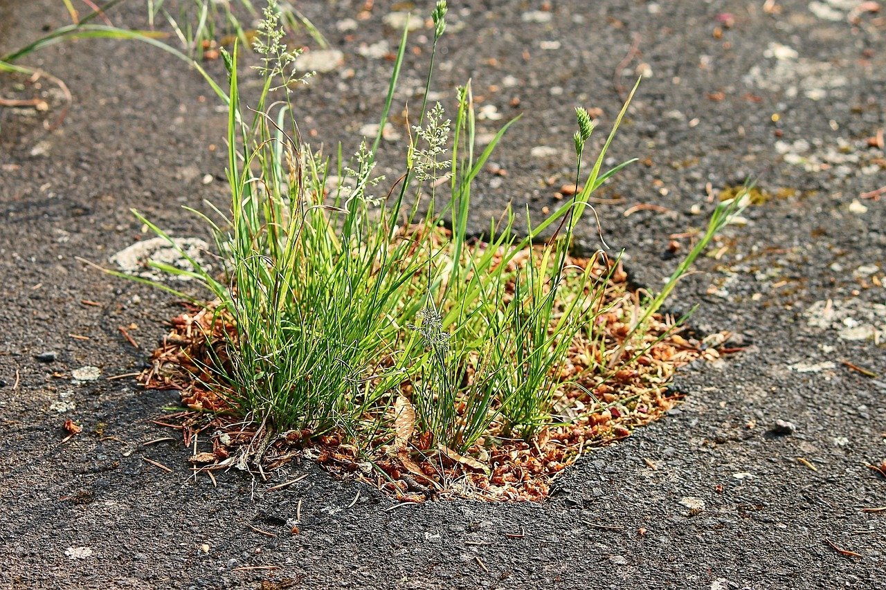 We spent an entire year watching this one pothole - here's what happened